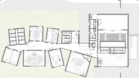 Plano (planta)