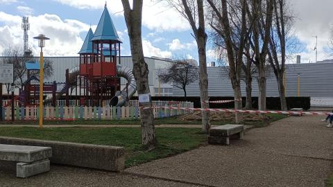 Renovación del arbolado de la plaza Elíptica.