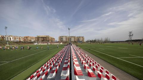 campos rugby
