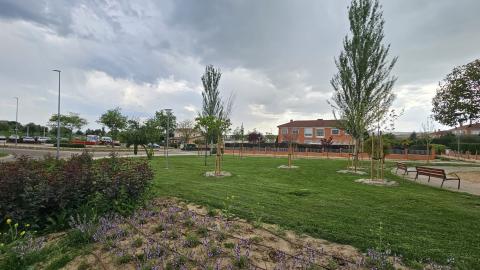 Un millar de nuevos árboles para las calles y parques de Arroyo