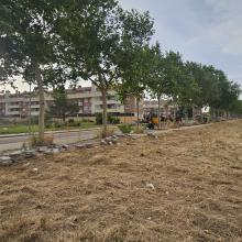 El Ayuntamiento inicia la reparación de la acera y el paso peatonal de la calle Dehesilla