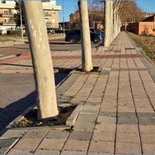 El Ayuntamiento inicia la reparación de la acera y el paso peatonal de la calle Dehesilla