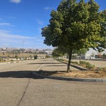 Parque canino Doña Juana