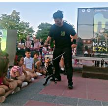 XVIII Festival de Teatro de Calle ‘Sin Telón’