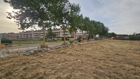 El Ayuntamiento inicia la reparación de la acera y el paso peatonal de la calle Dehesilla